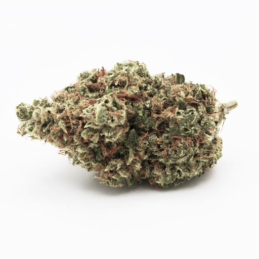 Vintage Blueberry Flower