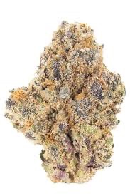 Jungle Grapes Flower