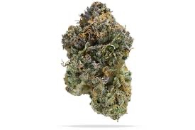 Permanent Marker Flower