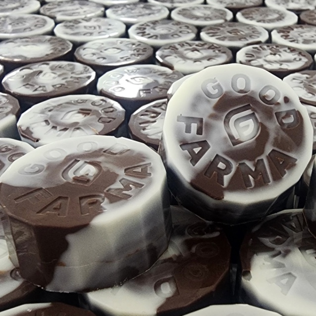 Coffee Bean Chocolates (3 Pack) Cup Winning!!