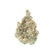 Strawberries 'N Dream Flower